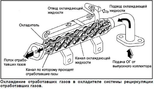 Охлаждение отработавших газов в охладителе системы рециркуляции отработавших газов.