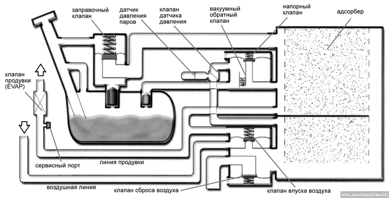 Функционирование