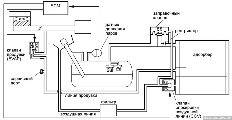 EVAP 5, с электронным управлением, с функцией контроля, с функцией ORVR / 2VSV, датчик давления паров.