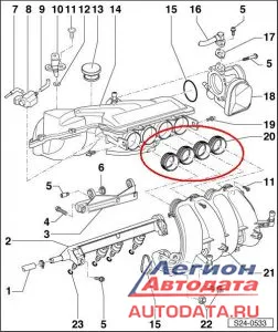 Skoda. Болячки моторов