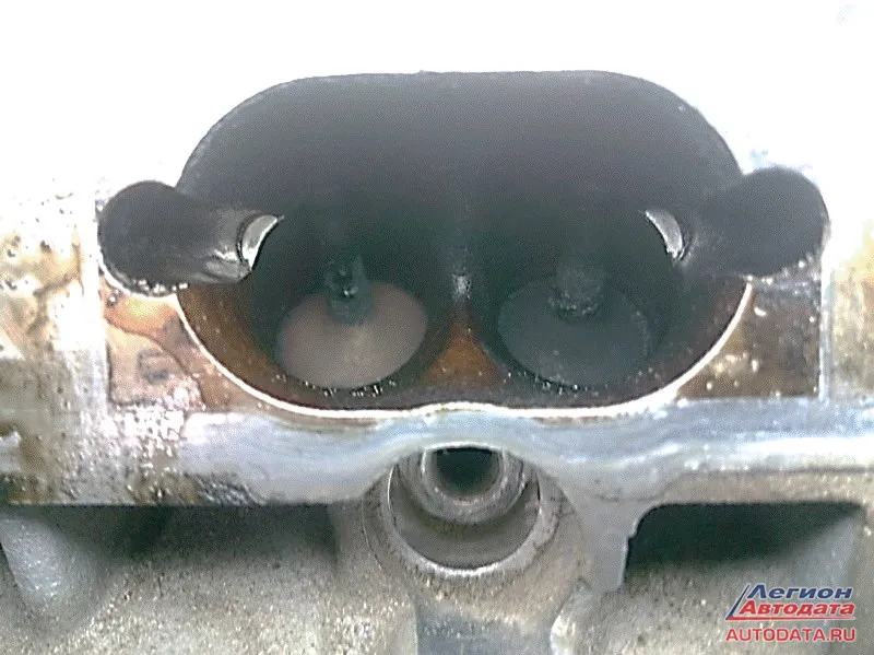 Не самого клиента, а фото клапанов, которые клиент сфотографировал когда менял форсунку.