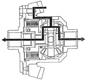 lsd-1-2.jpg