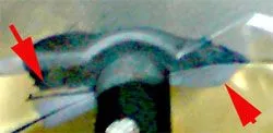 DSC00197_2.jpg