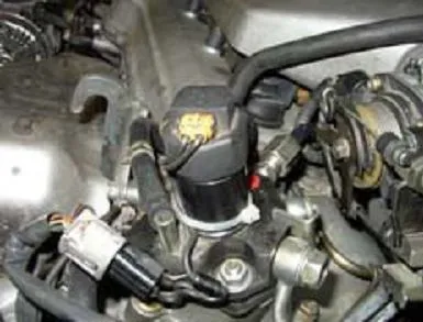 d42.jpg