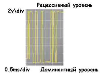 canlin_2.jpg