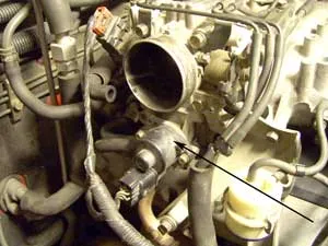iacv_1.jpg