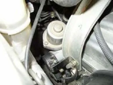 d43.jpg