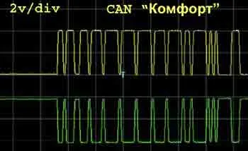 cank_2.jpg