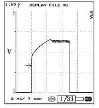ant12_5.jpg