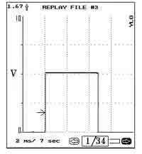 ant12_2.jpg