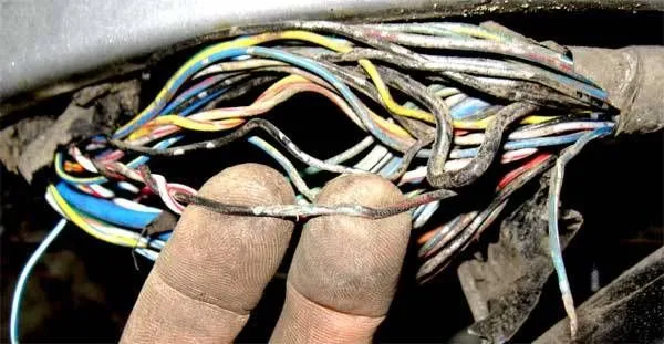 2003__6.jpg