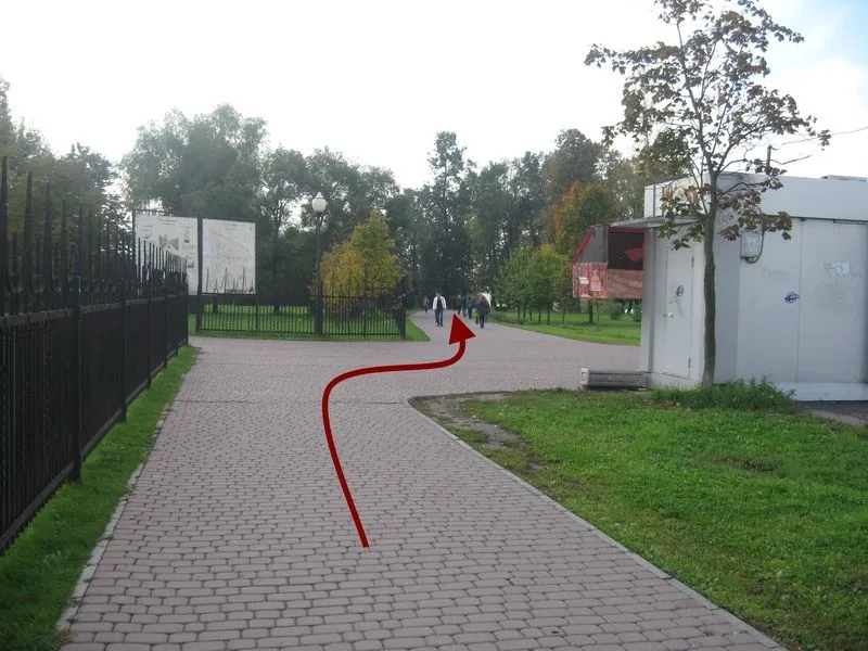 1.jpg