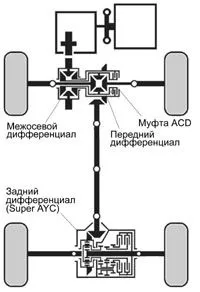 acd.jpg