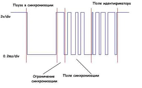 canlin_3.jpg