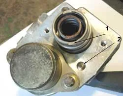 paskal6.jpg