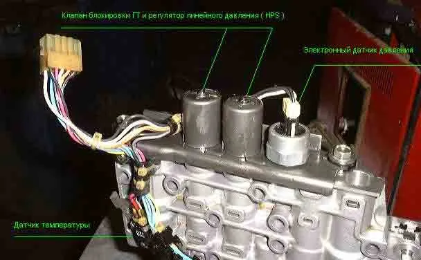 arv_13_1.jpg
