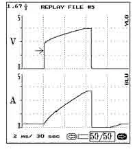 ant12_9.jpg