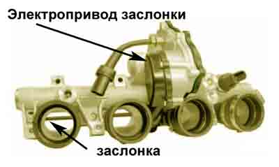 fsi_gomogen_5.jpg