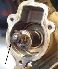 iacv_7.jpg