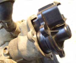 iacv_9.jpg
