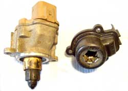 iacv_8.jpg