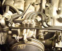 iacv_4.jpg
