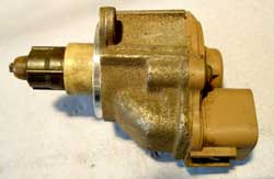 iacv_6.jpg