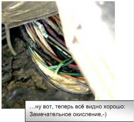 5.jpg 5.jpg