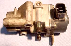 iacv_5.jpg