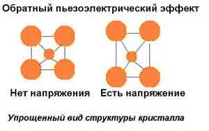 pzo_inj_3.jpg
